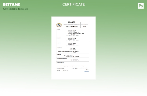 модерен стил Франција извод од матична книга на родени Шаблон Word и PDF шаблон